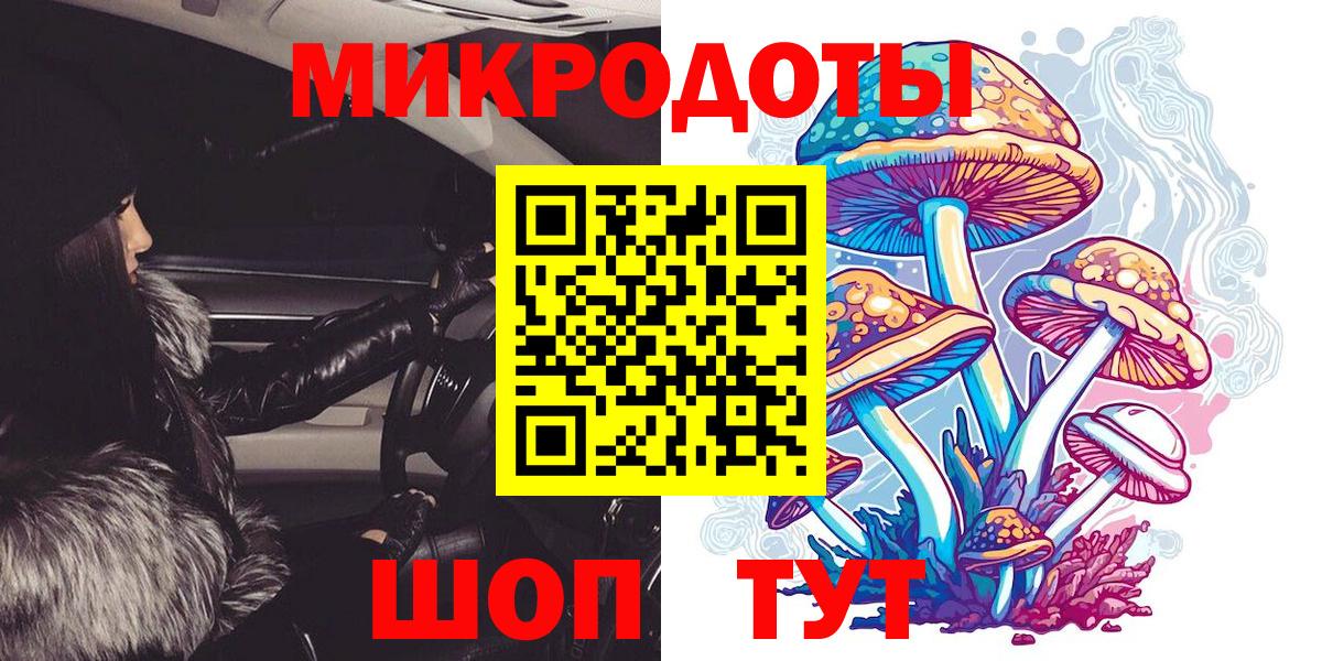 Галлюциногенные грибы Psilocybine cubensis Солнечногорск