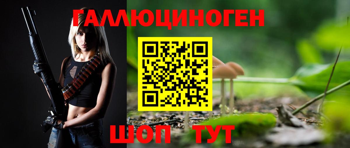 Псилоцибиновые грибы Psilocybine cubensis  Вход с VPN  Солнечногорск 